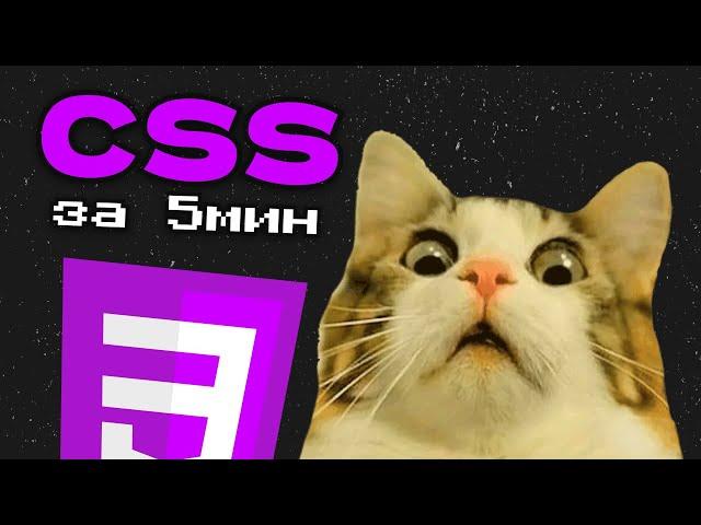 Изучи CSS за 5 МИНУТ | БАЗА CSS