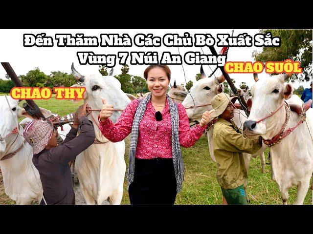 Tìm Hiểu Đua Bò KHMER : Thăm nhà chú CHAO SUÔL và A CHAO THY để  biết cách huấn luyện BÒ ĐUA ? #690