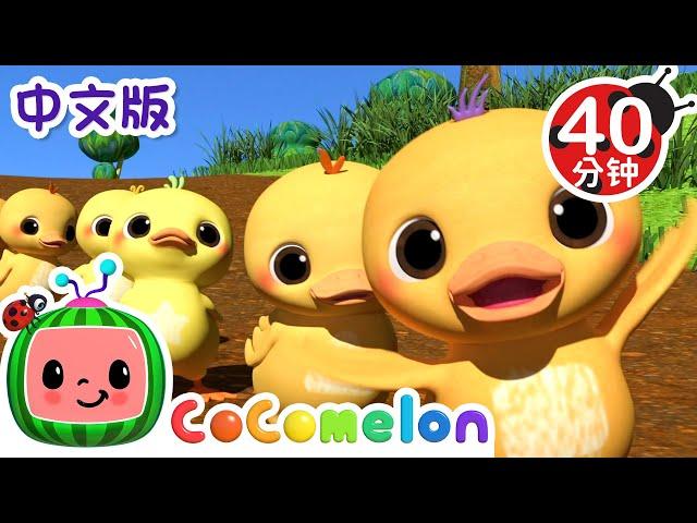 十只小鸭子 | 儿童学习 | 儿歌童谣 | 英文ABC和123 | CoComelon 中文版