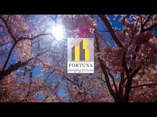 Fortuna-Changing Fortunes Film- IPL 2014