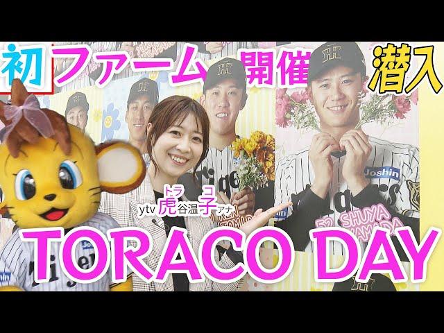 【潜入】初ファーム開催「TORACO DAY」平田監督からメッセージも！