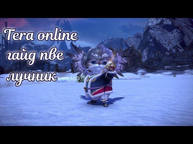  Tera online гайд лучник пве  актуально для Menma и Asura 2024 