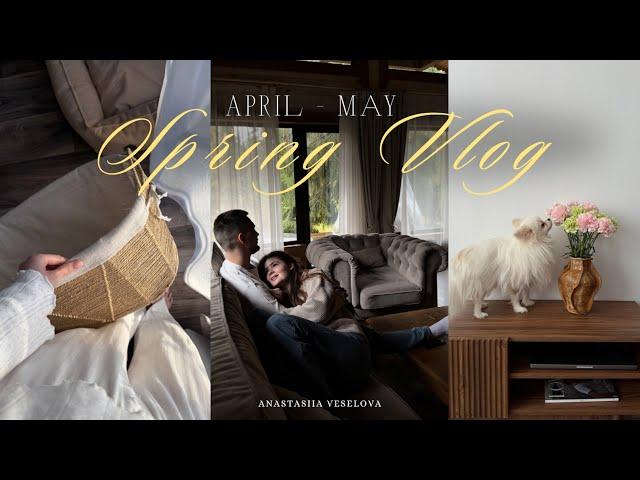 Spring Vlog | прогулки по расцветающему Питеру | уютная сервировка стола | бокс для собак во Frunk