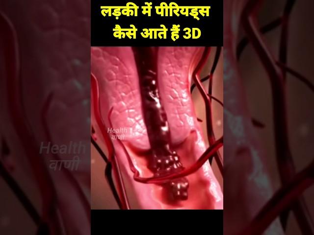 लड़कियों में पीरियड्स कैसे आता है #periods #birth  #menstrualcycle #pregnancy #shorts #3danimation