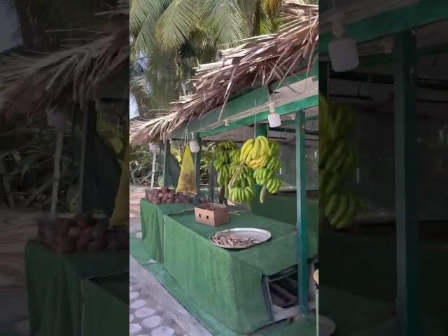 Salalah local banana & coconut market #salalah #viralyoutubevideo #oman #1million #foodlover