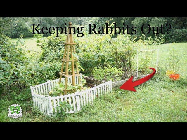 DIY Rabbit-Proof Garden Fence: Protect Your Plants with This Simple Solution!