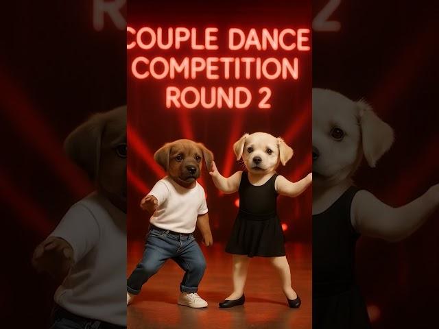 How a poor puppy became a street dance superstar #ai #entertainment #motivation