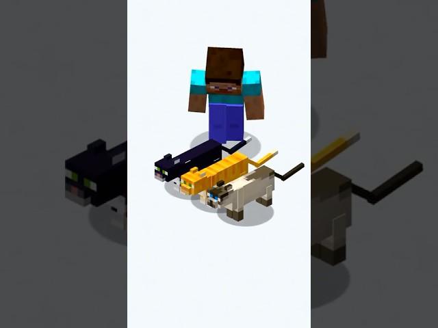 Minecraft Cat FACTS