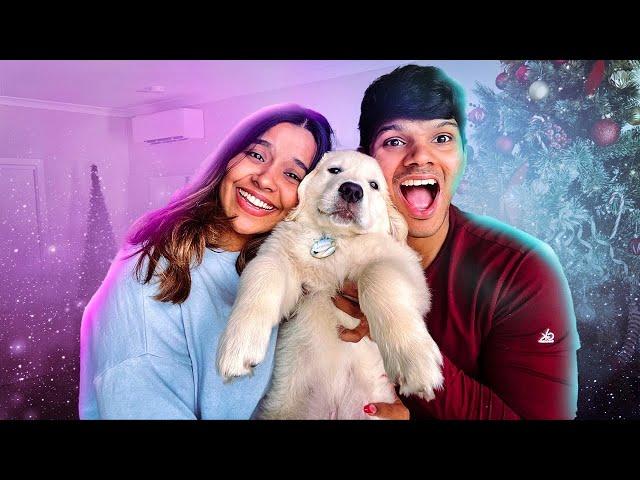 Did We Get A Dog  සිංහල vlog  | Yash and Hass