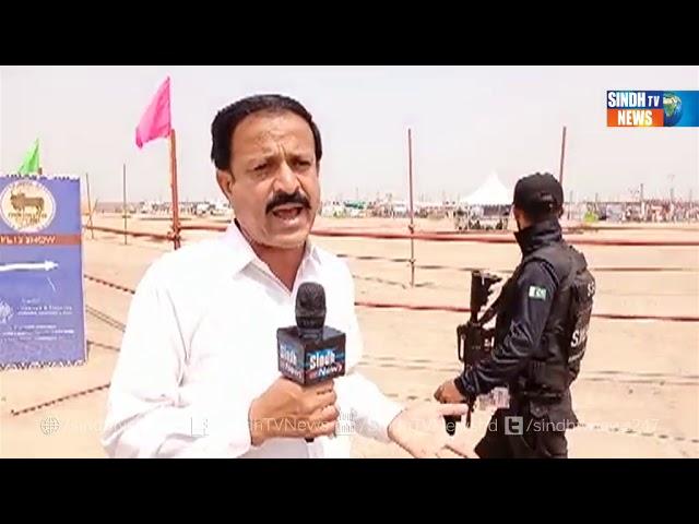 Hyderabad Live Stock - Aslive - Sindh TV News