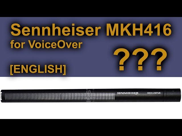 Sennheiser MKH 416 for VoiceOver | Questions and overview | Englisch