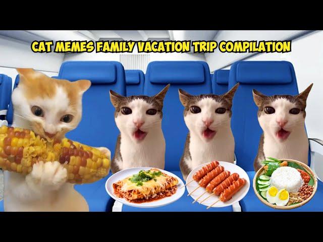 CAT MEMES Family Vacation Trip Compilation