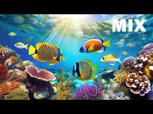 MIX - FALL INTO SLEEP INSTANTLY ~ Underwater Aquarium Mix to Reduce Anxiety and Help You Sleep :)