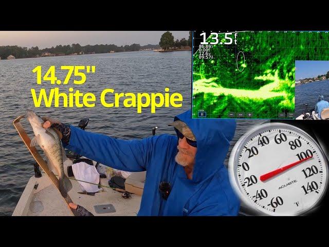 HOT SUMMER CRAPPIE FISHING with LIVESCOPE PLUS!!