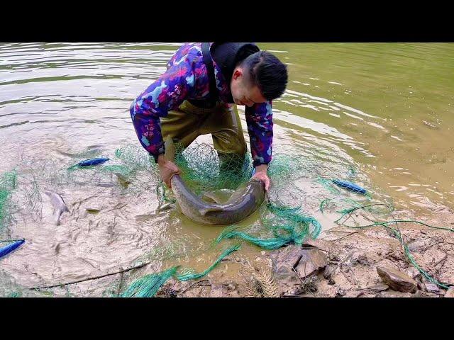 The first time the fish pond pulled fish from the net  there were many surprises. This fish feeling