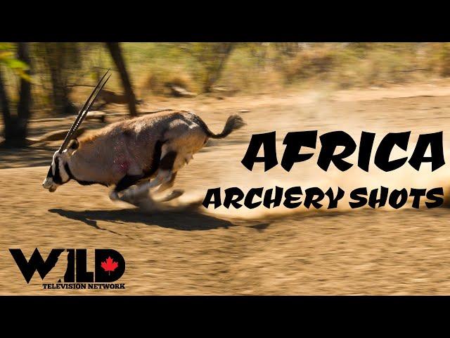 Africa Archery Kill Shots