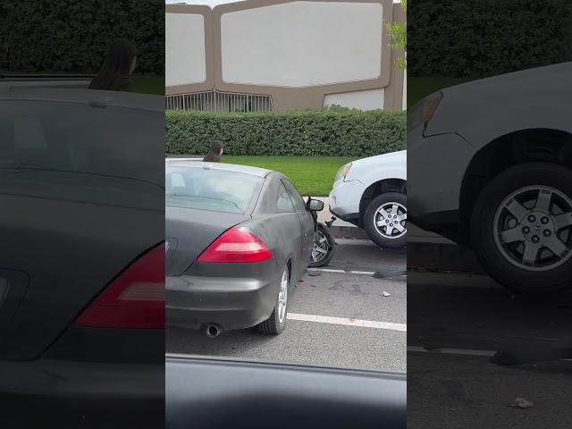 DUI Crash #crash #818 #shorts #dui #honda