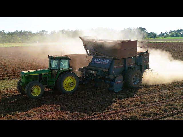 Day in the life of Peanut Farmer