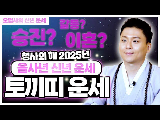 토끼띠 삼재 운세 2025년 신년운세.이것만 조심하면 걱정없다