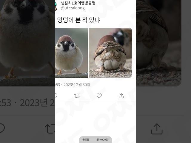 웃긴 짤 모음 56탄