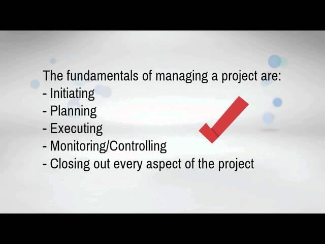 Tracy Curtis on Project Success