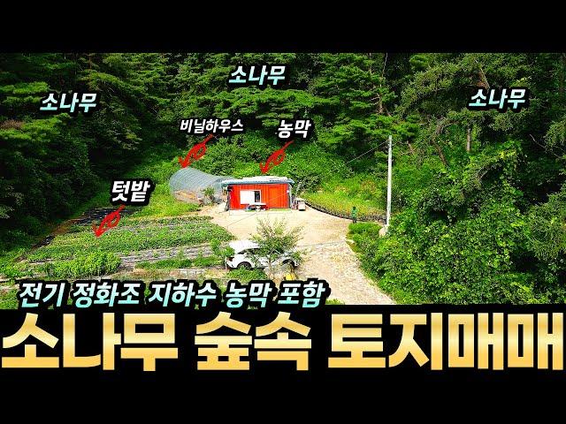 농막 전기 지하수 정화조 비닐하우스 모두 설치된 충주 부동산 충주 토지매매 소나무 숲속 아무 방해 없이 자연인처럼 지낼 수 있는 계획관리 밭 304평 주말농장 나만의 휴식 공간