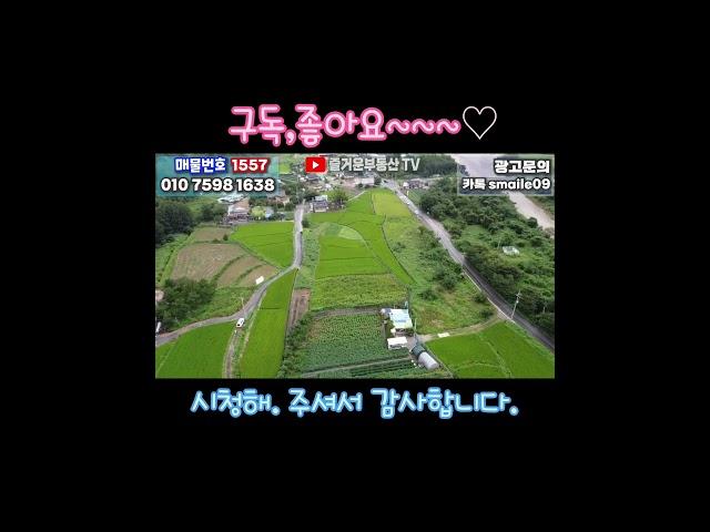 1557 #즐거운부동산tv #촌집 #토지 #전원주택 #임야 #vlogmusic #임영웅