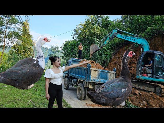 the girl and the driver Driving an excavator and a land truck to fill the lake.