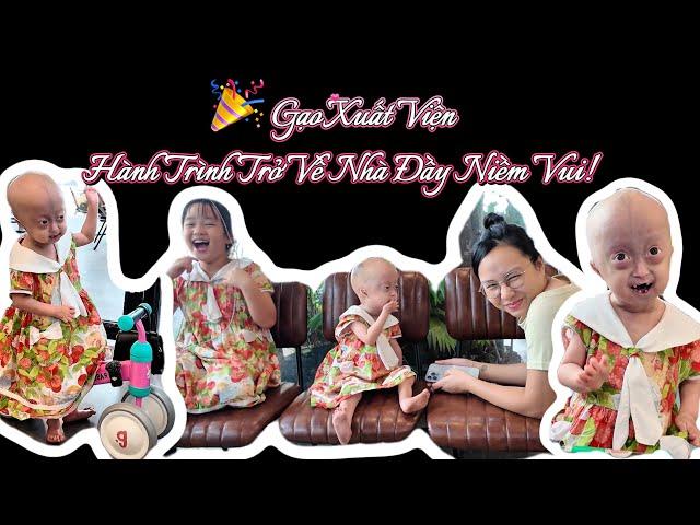 Gạo Xuất Viện - Hành Trình Về Nhà Đầy Niềm VuiGao Discharged From Hospital - A Joyful Journey Home