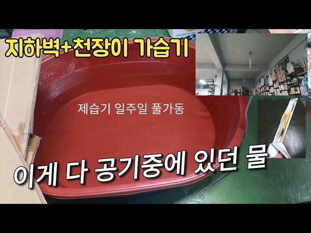 창문 없는 지하창고. 제습기 vs 유압식 환풍기 vs 벽에서 나오는 자연 가습기