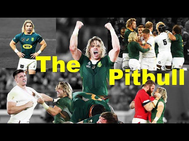 Faf De Klerk | The South African Pitbull