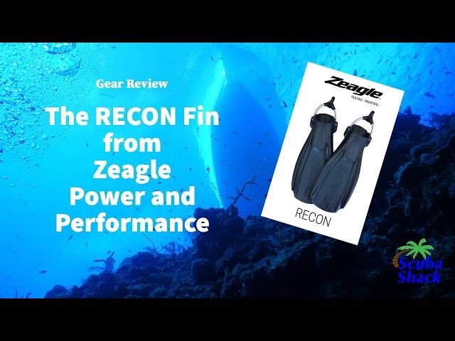 Zeagle Recon Fin | A pleasant surprise!