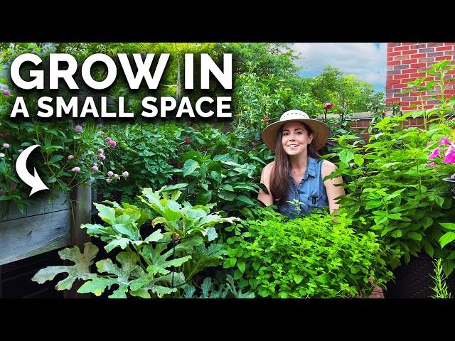 Creating a Balcony Garden (For Complete Beginners)