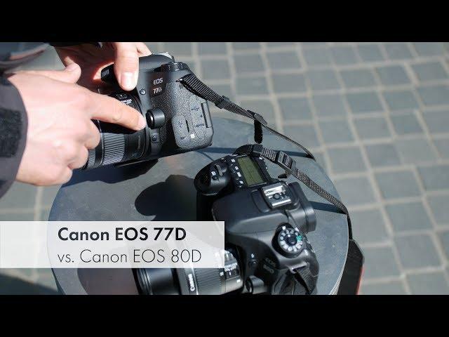 Canon EOS 77D vs. Canon EOS 80D | Duell in der gehobenen Einsteigerklasse [Deutsch]