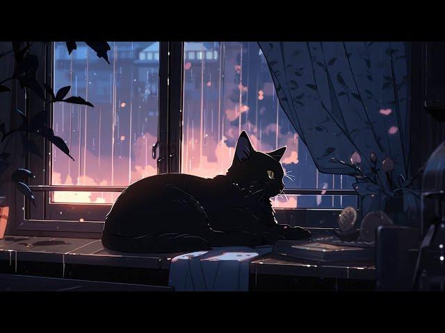 ＳＬＥＥＰＹ rainy nights  Lofi cat [Chill Music ~ Lofi Beats To Chill / Relax To]