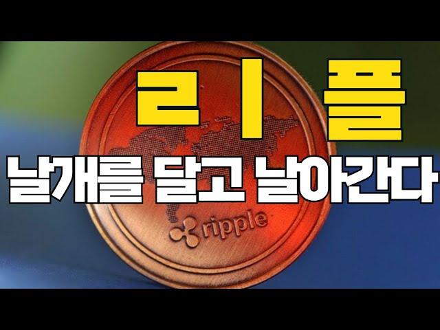 [리플 XRP] 날개를 달고 날아간다