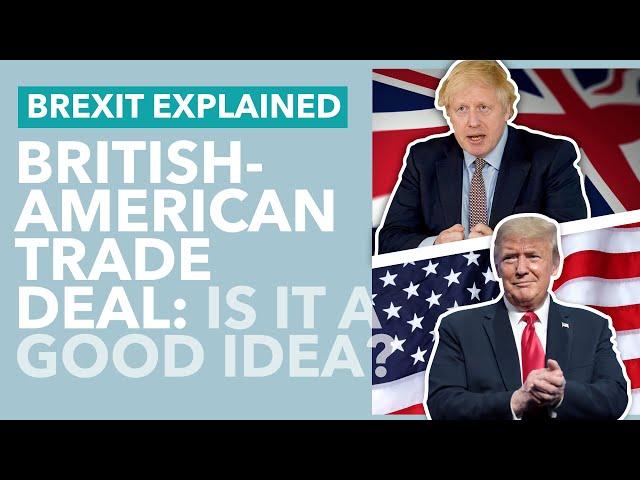 Chlorinated Chicken and "Selling" the NHS: Does the UK Want A Deal With America? - TLDR News