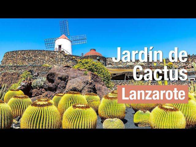 Jardín de cactus en Lanzarote - Islas Canarias