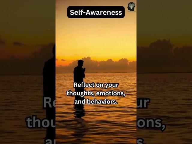 Illuminate Your Path: The Power of Self-Awareness
