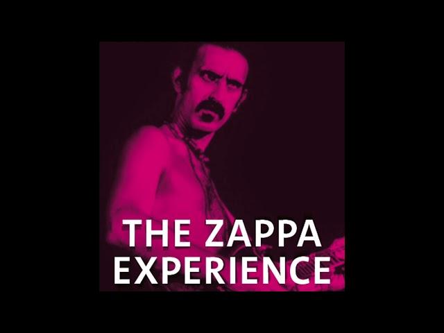 THE ZAPPA EXPERIENCE - SWR Symphony Orchestra plays Zappa - Freiburg November 24, 2023