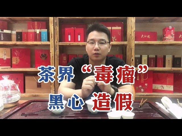 【漫仔说茶】茶叶造假手段太高明！茶友怒斥茶界毒瘤黑心造假！行内人说出实情