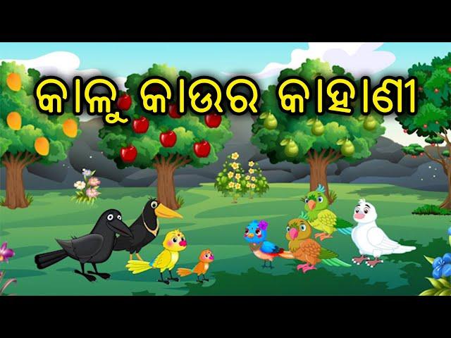 Kalu kau ra Kahani | ଓଡ଼ିଆ ଗପ | Odia Birds Story | Tiki chadhei Gapa | Zoo Joo TV