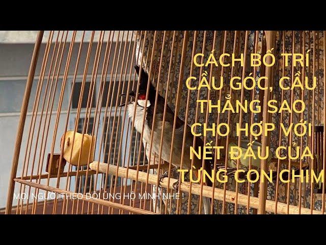 Cách bố trí cầu góc, cầu thẳng sao cho hợp với nết đánh của từng con chim ! Đam Mê Chim Chào Mào