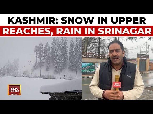 Fresh Snowfall In Kashmir's Upper Reaches, Rain In Srinagar As Weather Changes | Reporter Diary