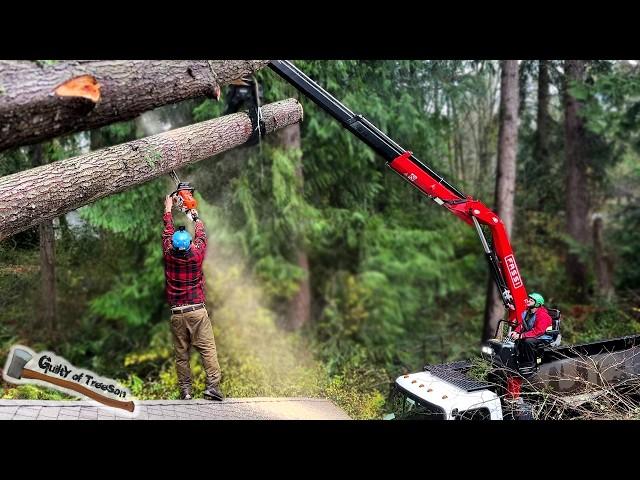 We Saved this HOUSE! Two Giant Trees Removed After A Storm - Hemlock and Fir Job