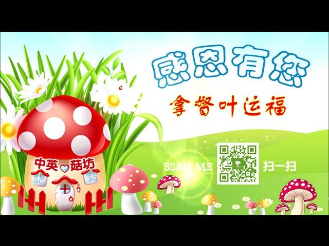 Anglo Chinese Mushroom Project