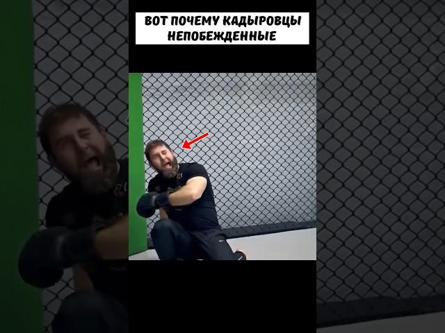 Вот как СЫН Кадырова побеждает КАЖДОГО соперника нокаутом  #мма #бокс #нокаут
