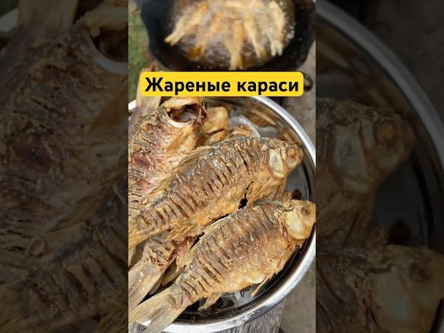 Карп друг, карась еда! А вам нравится жареные карасики? #карась #рыбалка #рыба #фидер