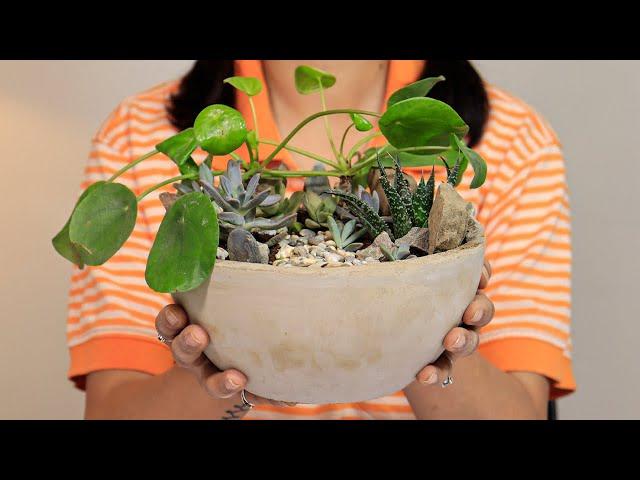 Let’s Make a Concrete Planter in Plastic Bowls for Succulent Forest | Under $15 Crafts