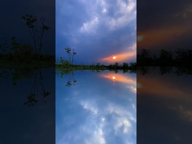 Photography tips and tricks video